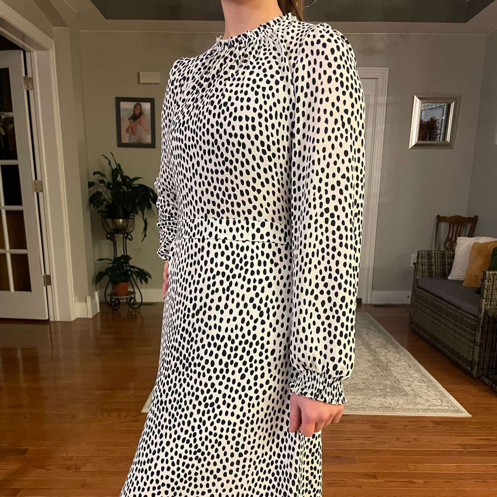 J Crew dress